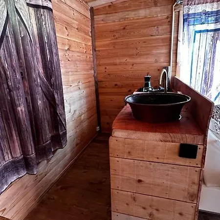 Milvus Du Puy Mary *