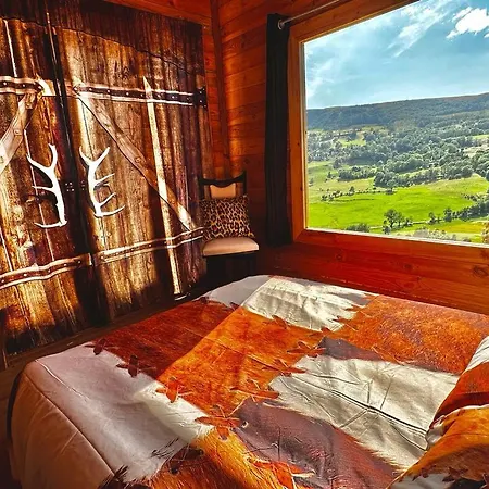 Lodge Milvus Du Puy Mary *